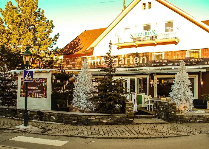 Hotel Wintergarten 3*